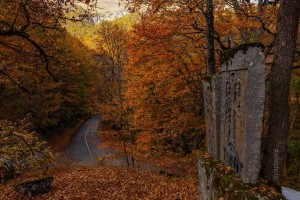 Ինչ որ անեք, արեք սրտանց, որպես թե Տիրոջ համար եք անում