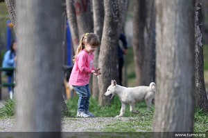 Ջանասիրություն